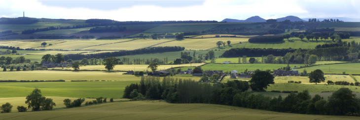 Eckford from Wooden Hill